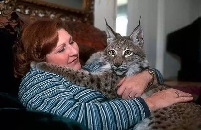 41 most unusual pets you can have - #25 