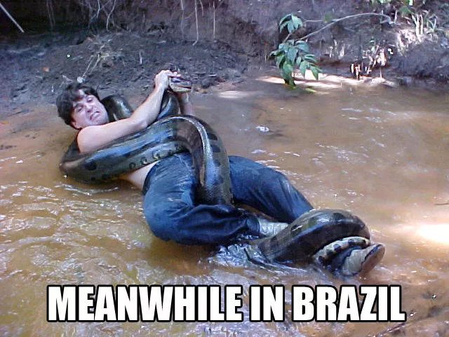 Welcome to brazil