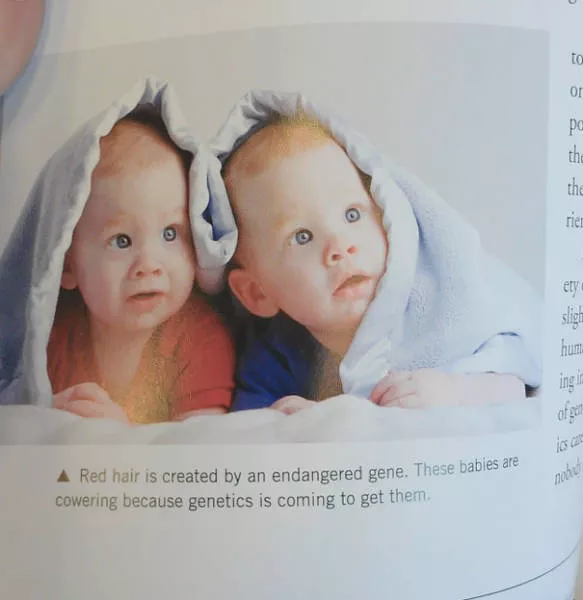 Funny pictures in textbooks - #1 