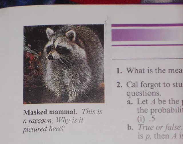 Les images gaies dans les livres scolaires