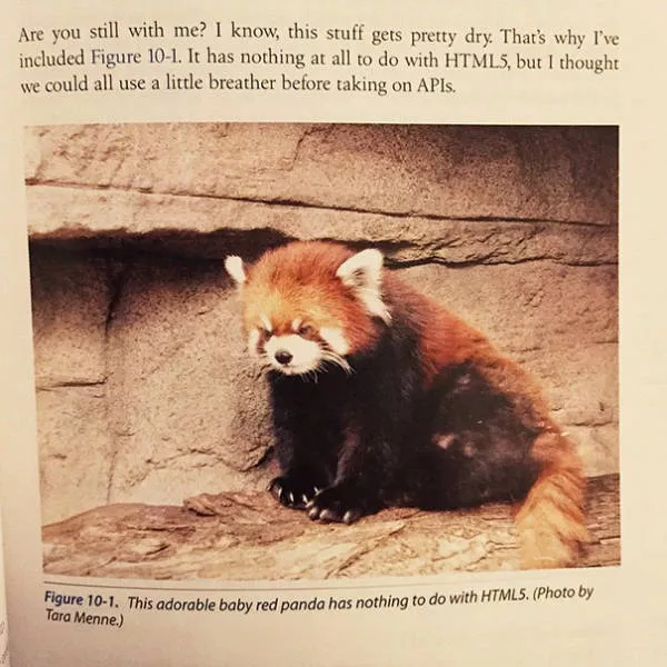 Funny pictures in textbooks - #24 