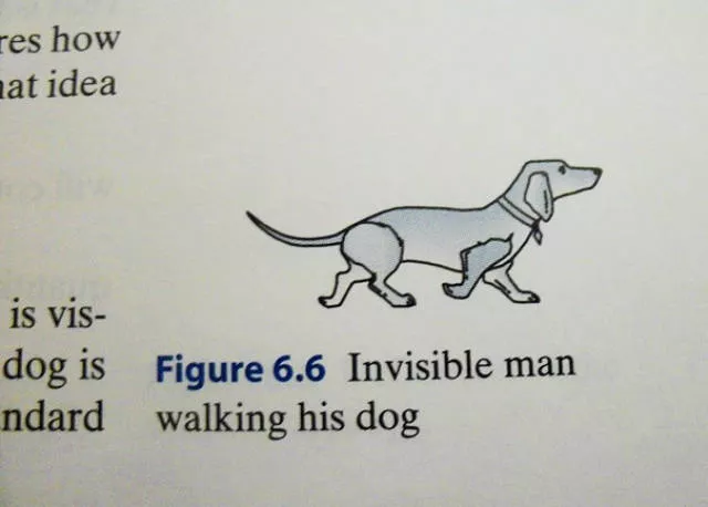 Funny pictures in textbooks - #3 