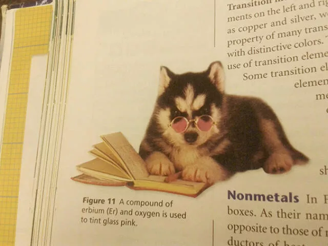 Funny pictures in textbooks
