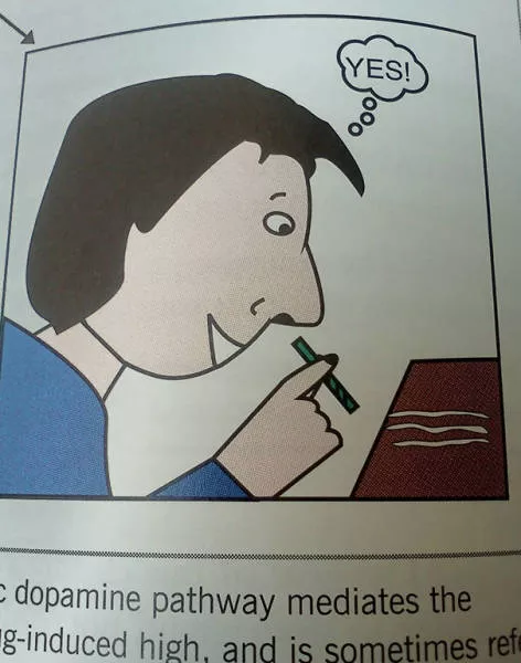 Funny pictures in textbooks - #35 