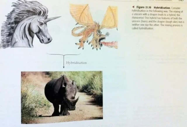 Funny pictures in textbooks - #36 