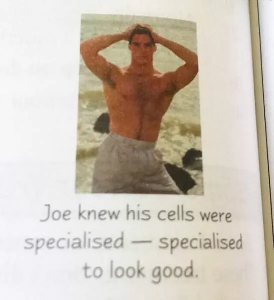 Funny pictures in textbooks - #5 