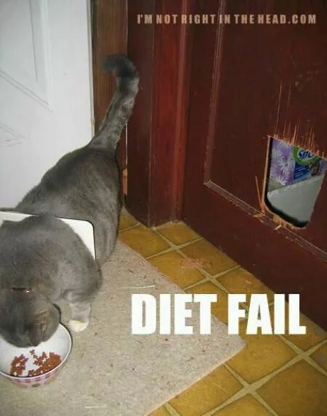 Funny diet fails