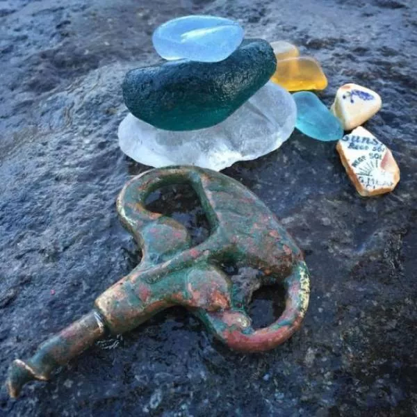 Various strange and interesting things found on the beach
